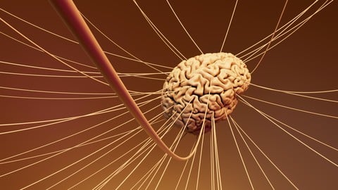Emotional Intelligence Skills Training certification