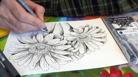 MasterClass Drawing Flowers with a Pen and a bit of Graphite