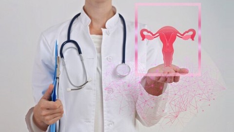 Seja professora de Pompoarismo: Módulo 3