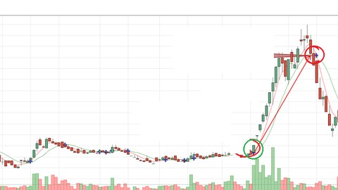 I Made 15 Million Profit From  Stocks And How You can too