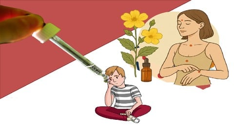 L'Acupression Florithérapique face au Stress