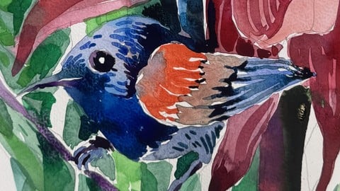 Englischer Aquarell von Anfang an