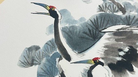 丹頂鶴Red-crowned Crane