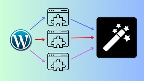 All-in-One WordPress Plugin: ASE Plugin Course