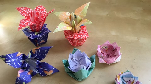 School of Origami: Learn How to Fold and Master Origami