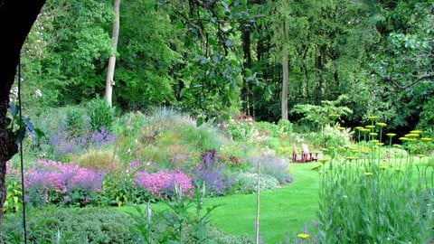 The Fundamentals of Landscape Planting Design