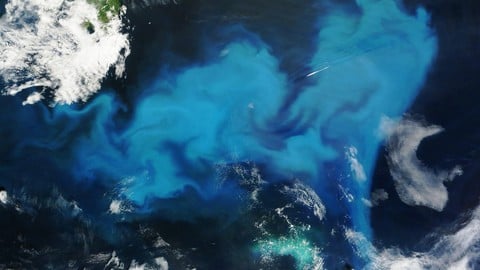 Building Bridges: Intro to Ocean AI and AI Literacy