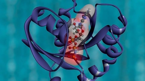 “Predicting Protein Structure with Meta AI: Practical Guide