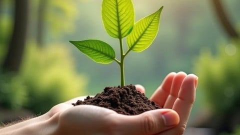 MELHORES EMPRESAS PARA SER AFILIADO