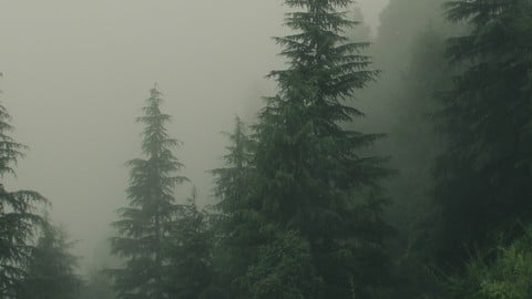 How to Write a Dark Fantasy Novel for Beginners