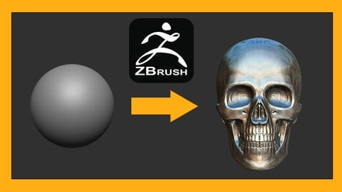 ZBrush头骨美术雕刻全攻略：从基础到写实