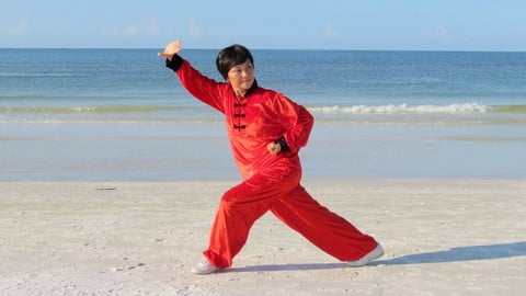 Qi Gong Instructor Training Level II (Part 5 of 5)