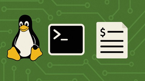 Bash command fundamentals for beginners