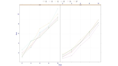 Comprehensive Linear Modeling with R