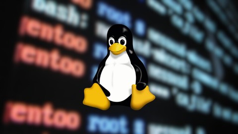 Linux für Einsteiger – Das ultimative Einsteiger-Training!