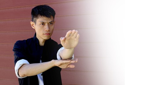 Wing Chun Biu Jee for Beginners 3 - Martial Arts Kung Fu