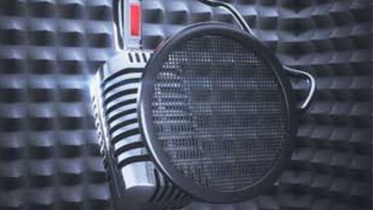 How to Become a Successful Voice Over Artist