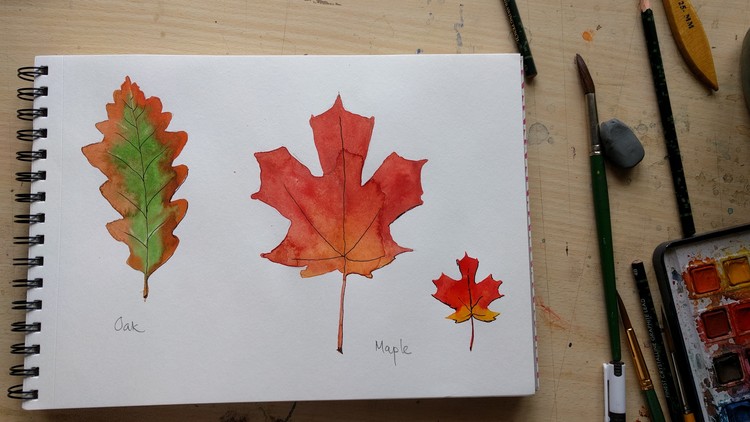 Sketchbook Everyday - Leaves in Watercolor