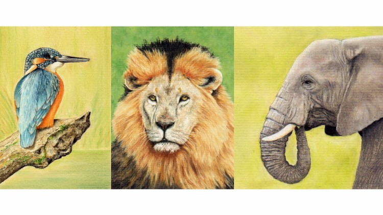 Draw Wild Animals using Pastel Pencils Volume 1