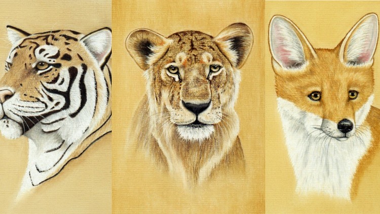 Draw Wild Animals using Pastel Pencils Volume 2