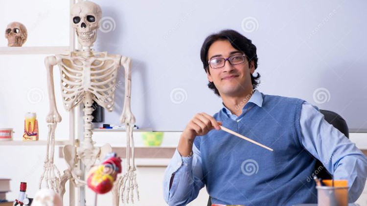 A Ultimate guide to learn Human Anatomy for medical students