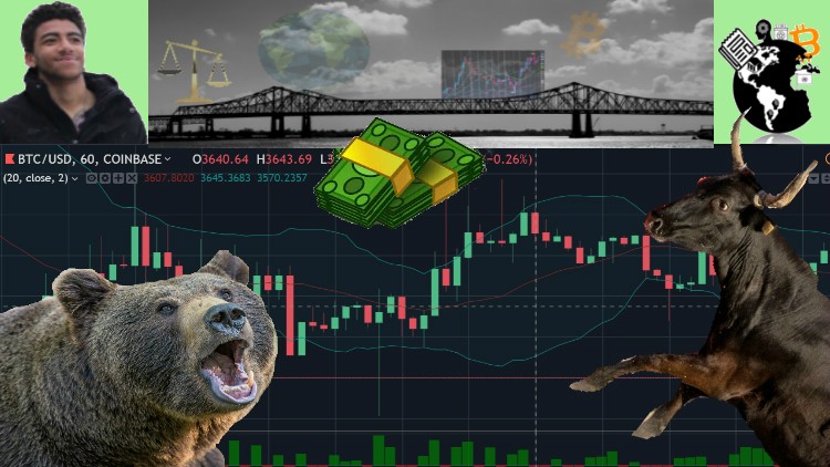 Start Trading Stocks and Crypto With A Trading Simulator!