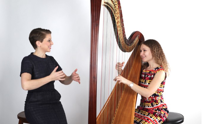 Beginner Harp Lessons 2.0