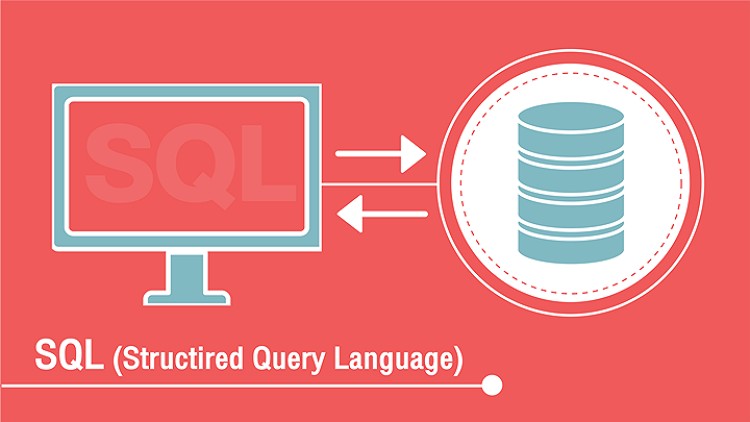 Querying Microsoft SQL Server  in arabic  بالعربي