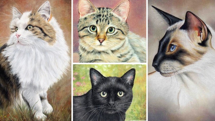 How to Draw Cats with Pastel Pencils