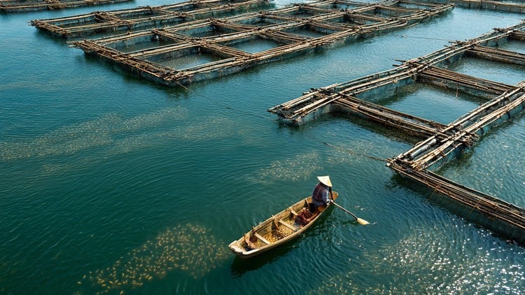 Aquaculture 4.0 - The Impact of Industry 4.0 on Aquaculture