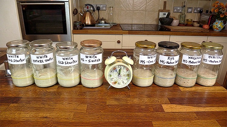 Mastering Sourdough Starters & Leavens