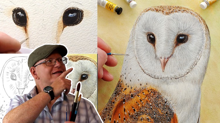 Barn Owl Watercolor Lesson