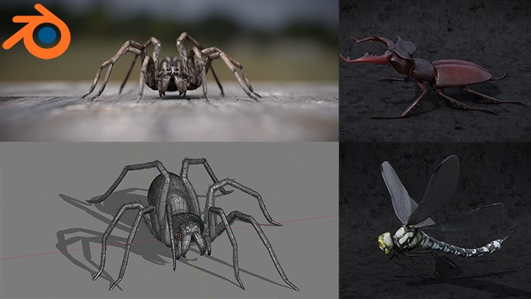 Blender 2.81 - Spiders and insects creation from scratch