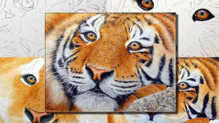 How To Paint a Realistic Tiger in Watercolour, Step by Step!