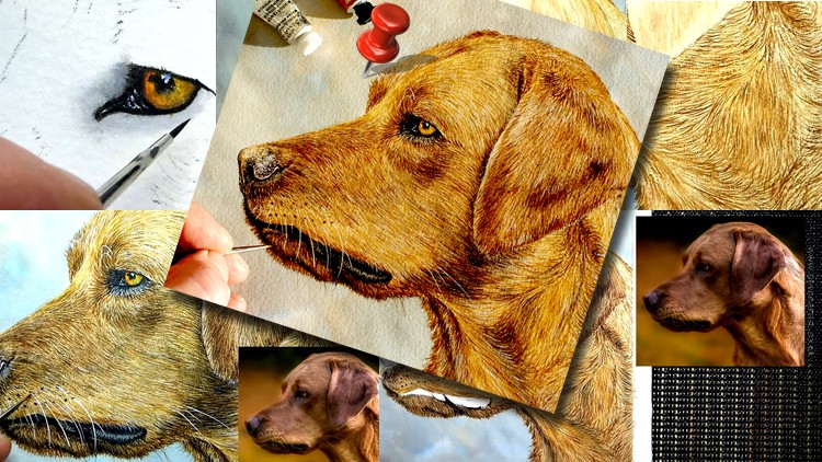How To Paint a Dog in Watercolour - Painting Fur in Detail!