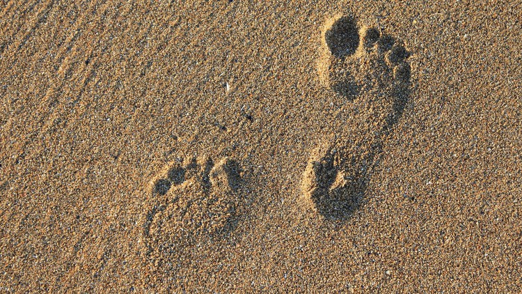 First steps in Reflexology