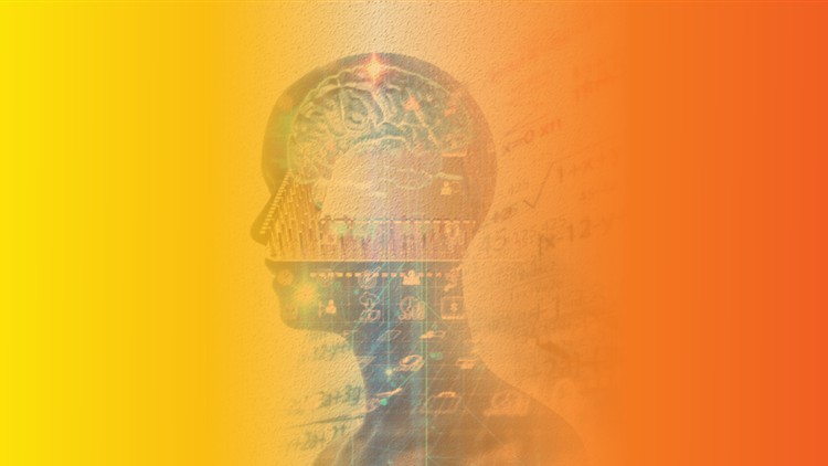 Como utilizar Múltiplas Inteligências no trabalho e na vida