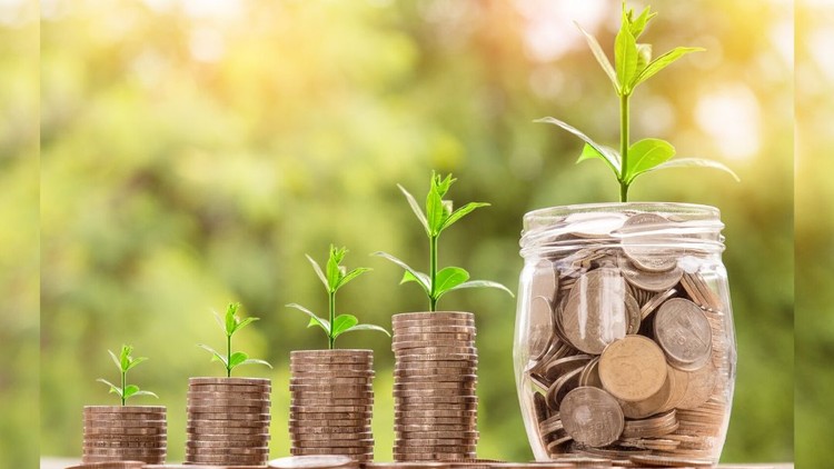 Entrepreneurship and business creation