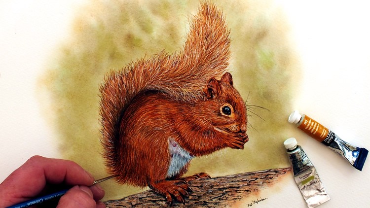 Watercolour Wildlife Painting - How To Paint a Red Squirrel