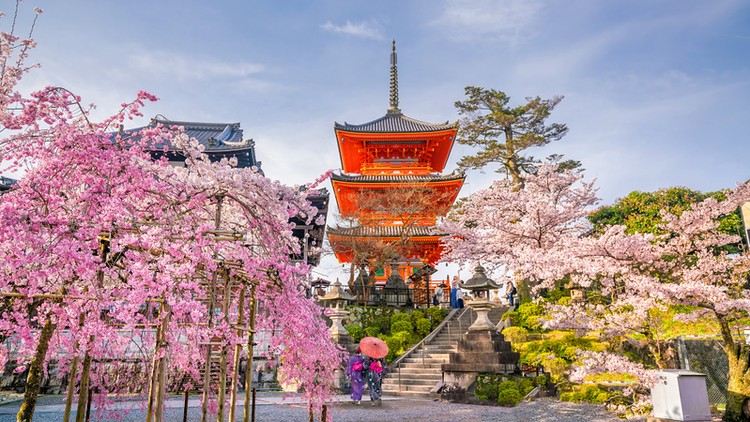 Comprehensive Japanese Grammar (Pre-intermediate/JLPT N4)