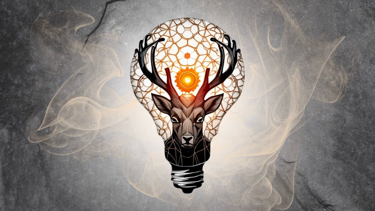 A Complete Guide to Mindset, Mental Toughness and Resilience