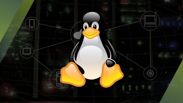 Fundamentos de redes no Linux: treinamento 100% prático