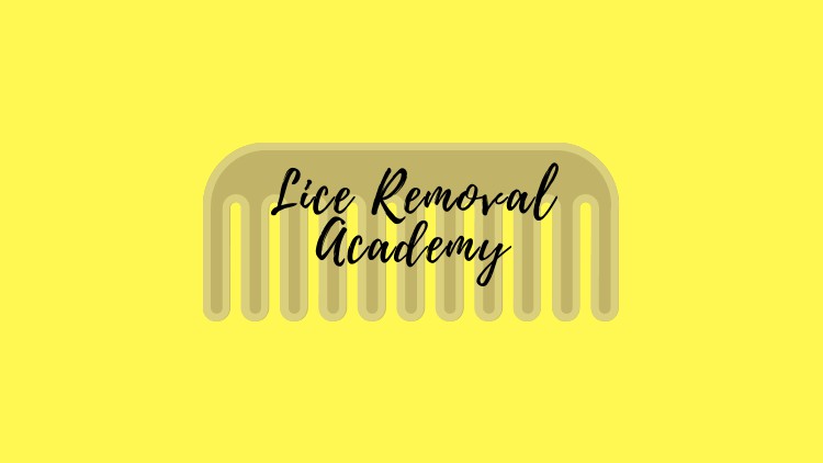 Lice Free in 1-2-3
