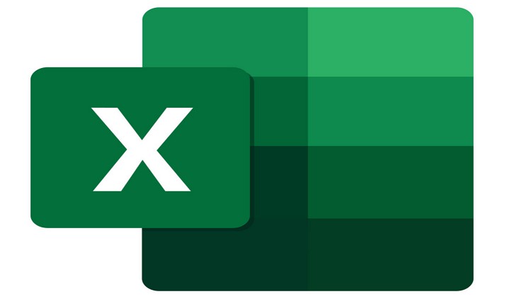 MS Excel Basics for Professionals : Beginners Course