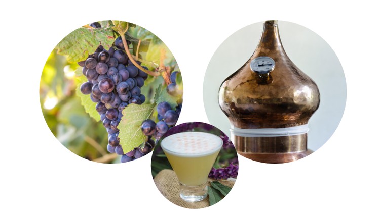 Pisco Certificate Course-Become an Expert in Peruvian Pisco