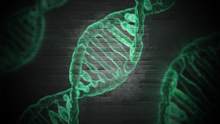 Molecular Biology: From Nucleotide To Nucleic Acid