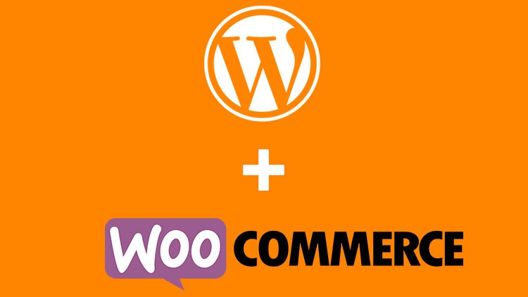 Learn How to Create an eCommerce Website in WordPress