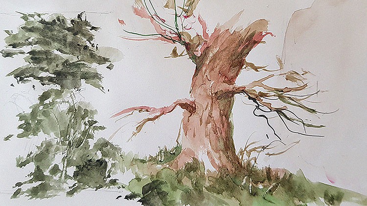 How to paint trees in watercolor like professionals!