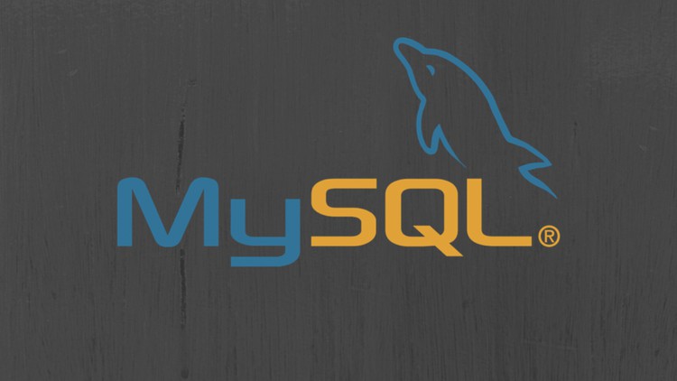 MySQL Bootcamp - The Complete 2025 Introduction!