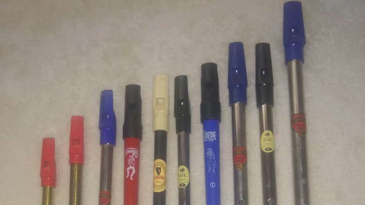 Beginning Irish Tin Whistle